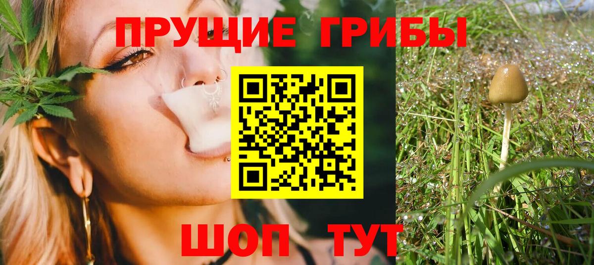 Галлюциногенные грибы GOLDEN TEACHER  Вход с VPN  Конаково 